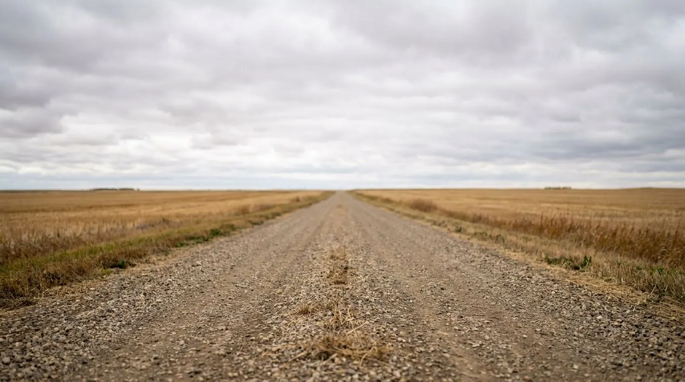Flat Alberta farmland with a straight gravel grid road running to the horizon.
